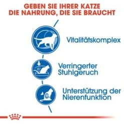 ROYAL CANIN Indoor 7+ 3,5 Kg -Heimtierbedarf Verkäufe b15b3a341edb82d3b0b2fbcdfa1085a485519ef2 8029a12bcb04e5bfd8b7a4d93e4a2c997c8d2856
