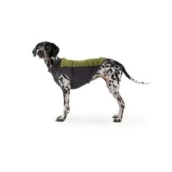 Ruffwear Climate Changer™ Fleece-Pullover Für Hunde Rot S 10 Ruffwear Climate Changer™ Fleece-Pullover Für Hunde Rot S -Heimtierbedarf Verkäufe b28669818d8fcb81e0661ed639732808849f280a 1369661 de DE 64aaf340211e6364e47cd57e7a205b9b6074a78fHTZZhE