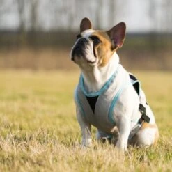 Trovet Suitical Kühlweste Dry Cool M 9 Trovet Suitical Kühlweste Dry Cool M -Heimtierbedarf Verkäufe b32e0654ab987d26790de796cf13d2e54cbed73f 1321386 de DE Trovet suitical 6 Kopie