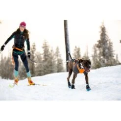 Ruffwear Cloud Chaser™ Hundejacke 18 Ruffwear Cloud Chaser™ Hundejacke -Heimtierbedarf Verkäufe b3945dcdf1d891b89bb33cdcabbc0f70acaf459d 1369625 de DE 87163fc3e147e303fdf97d4ab87fd720c4f34a96B9a7gd