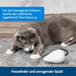 PetSafe Automatisches Katzenspielzeug RoloRat 11 PetSafe Automatisches Katzenspielzeug RoloRat -Heimtierbedarf Verkäufe b65e953878b463eb5125c940634b84e8b7c79a3f 1351522 de DE 3daf7dbb27d01ce7d63f06677a32dd6cde28abb9X2tLJP