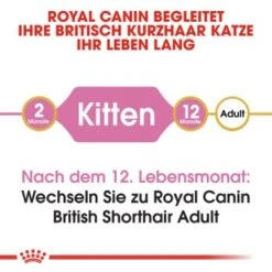 ROYAL CANIN British Shorthair Kitten 2 Kg -Heimtierbedarf Verkäufe b9dcf6abb7a4919bf6fc18b953f6e6aa3597ecf5 b5fbd35505db68c05c613e1187818406628392a1