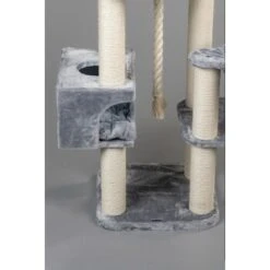 Heimtierbedarf Verkäufe -Heimtierbedarf Verkäufe ba0ab9b718cf59e58bcdd6c27e6654e926be6bef 1652142 de DE 8f0283c9691c94dd265dca926db94808c54bb3f9ywRRHD