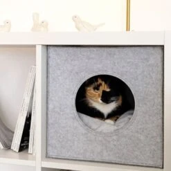 Lionto Katzenhöhle Aus Filz + Kissen - Regalhöhle Hellgrau 9 Lionto Katzenhöhle Aus Filz + Kissen - Regalhöhle Hellgrau -Heimtierbedarf Verkäufe ba38cb426515f287554cca1376691e8fc1f2c06c 1657087 de DE 1787a06f3e708c0b40c07cda94f11d1c11828f21AhrPBZ