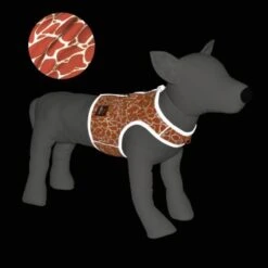 Dogs Creek Reflektierende Sicherheitsweste Saphir S 7 Dogs Creek Reflektierende Sicherheitsweste Saphir S -Heimtierbedarf Verkäufe bd2260470000f89b4a3ba35fe6987b67c8c2c09d 1370120 de DE DCRE Sicherheitsweste wb 3