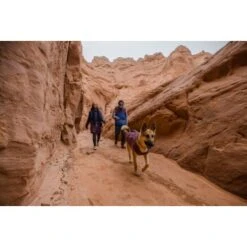 Ruffwear Overcoat Fuse™ Hundejacke Violett XXS -Heimtierbedarf Verkäufe be1df80a58a073c4a06905f9850fdb02868343c3 1639761 de DE 6b99be5157e3de813670a6d4268b03b177d774edbPJ4YO