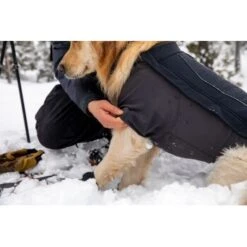 Ruffwear Cloud Chaser™ Hundejacke 15 Ruffwear Cloud Chaser™ Hundejacke -Heimtierbedarf Verkäufe c08ed86245839b8fa7d59b47206e376a4924f862 1369625 de DE 87ed046f15d6c099e4f33a0b92b8494c495a6d97LL6Vmg