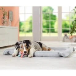 AniOne 2in1 Liegeplatz Pepe & Kitty S 5 AniOne 2in1 Liegeplatz Pepe & Kitty S -Heimtierbedarf Verkäufe c0b1c57ce9a81460ac4881703e585fea19070439 7b3c609afbafd568a967e70d6389fb43f36e72f6