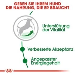 ROYAL CANIN Mini Adult 8+ 8 Kg 9 ROYAL CANIN Mini Adult 8+ 8 Kg -Heimtierbedarf Verkäufe c353b0de3f48a724e716c1c76485d0baab2f2c1c b5e80ca1f67a73b432838d9b8dc4feac61bcbeef