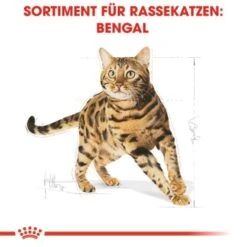 ROYAL CANIN Bengal Adult 10 Kg 12 ROYAL CANIN Bengal Adult 10 Kg -Heimtierbedarf Verkäufe cb3c9b745b0cf6e86ca2308b544461de43105143 e7122eb5a9e8a316aad32423edb5418ecd6d24cd