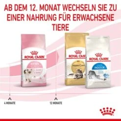 ROYAL CANIN Kitten 4 Kg 15 ROYAL CANIN Kitten 4 Kg -Heimtierbedarf Verkäufe cf133300f1a1c045b6143772211651d61c06ad62 3182550702973 7