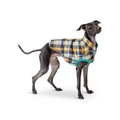 GF Pet Reversible Trail Jacke Grün XXS -Heimtierbedarf Verkäufe d0d86a70089b79c26342e2430bae8caf960ccaed befa58813c2949e634e5b991f29c2ef187a974fc
