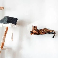 Canadian Cat Company Filz-Hängematte Für Die Wand 15 Canadian Cat Company Filz-Hängematte Für Die Wand -Heimtierbedarf Verkäufe d6982ed9d12e9d0cbfd4107464642cbf75290f16 1360996 de DE d8ac4e7927d3348063cd4288852ccba5cd28bc01nV0N95