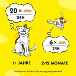 Dreamies Snack-Vielfalt 12x60g -Heimtierbedarf Verkäufe e1b190f4f53100ff83c0fb6481ba747fb1f78bad 1297459 2
