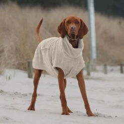 THE DOG IDEA Bademantel Every Beige XXXS -Heimtierbedarf Verkäufe e3729773c9f5b61c18a464eeb5076e81a866013e 1472946 de DE ac504db57b88122680c4cb56470ea23721b69c99VnzO7V