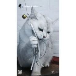 Kater Kasimir Premium Katzenangel Mit 4 Handgemachten Anhängern Aus Naturmaterial -Heimtierbedarf Verkäufe e6fe48d27b82d48675d665ee2a143e3c11de2fd9 1408150 de DE b29a5f7f2530ce6388e16e2600369d70b2ec0350kYn6B8