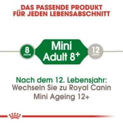 ROYAL CANIN Mini Adult 8+ 8 Kg 10 ROYAL CANIN Mini Adult 8+ 8 Kg -Heimtierbedarf Verkäufe eae521c0b8f4353c14e0d3ad80cd85d251ab2261 3df85d0672cf7469659f776c62e742c8257eea37