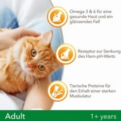 IAMS Vitality Adult Huhn 3 Kg 9 IAMS Vitality Adult Huhn 3 Kg -Heimtierbedarf Verkäufe f239d7ef57a6054553948e62d3d5feb16002578a 8361bd6d370c2f798bd71fa3242ca269884546de