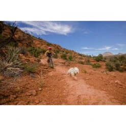 Ruffwear Swamp Cooler Zip™ Kühlweste Für Hunde Pink XL 21 Ruffwear Swamp Cooler Zip™ Kühlweste Für Hunde Pink XL -Heimtierbedarf Verkäufe f39337d577f60e5d30ba5addfb811febecbc66e7 1639652 de DE 1ff9fca93caed68be3a65cc55ad0d154f81bf268suJpN2