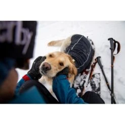 Ruffwear Cloud Chaser™ Hundejacke 17 Ruffwear Cloud Chaser™ Hundejacke -Heimtierbedarf Verkäufe f46c67f8b7243d976f998e1877675b56fc87eab2 1369625 de DE 51d1c132eb566a7eb9e278708f64567d4e47a10epBiJRc