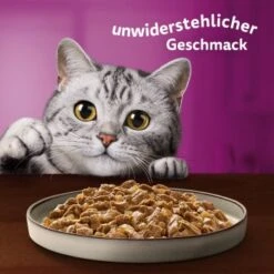 Whiskas Pure Delight Mega Pack Geflügel Ragout In Gelee 40 X 85g -Heimtierbedarf Verkäufe fb884326dc9636e4843c68e11f5586233a08be8f 1410723 de DE Whiskas 8