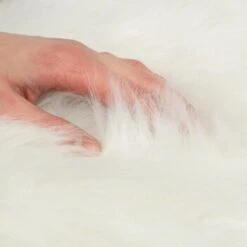 Canadian Cat Company Filzlounge AVA Beige M 15 Canadian Cat Company Filzlounge AVA Beige M -Heimtierbedarf Verkäufe fd8b746ad0dc996bb62efc39f6c670f6be8df30e 1360999 de DE c86a4e6d9ceba2c1e55f3f753eeda095c89215723XoDPL