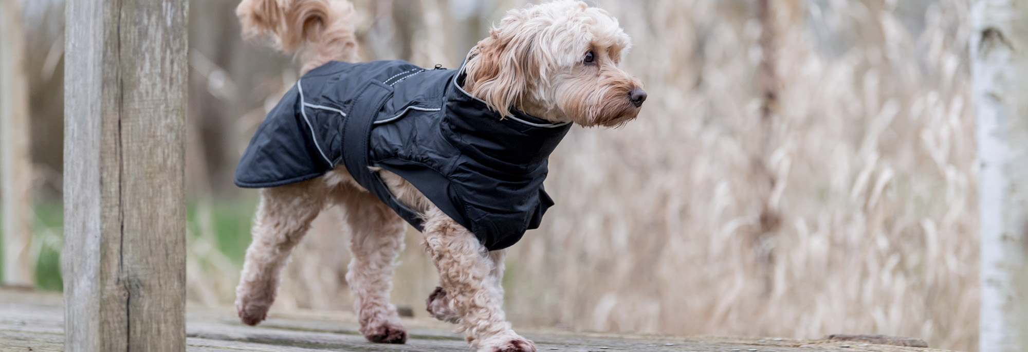 Heimtierbedarf Verkäufe -Heimtierbedarf Verkäufe 1