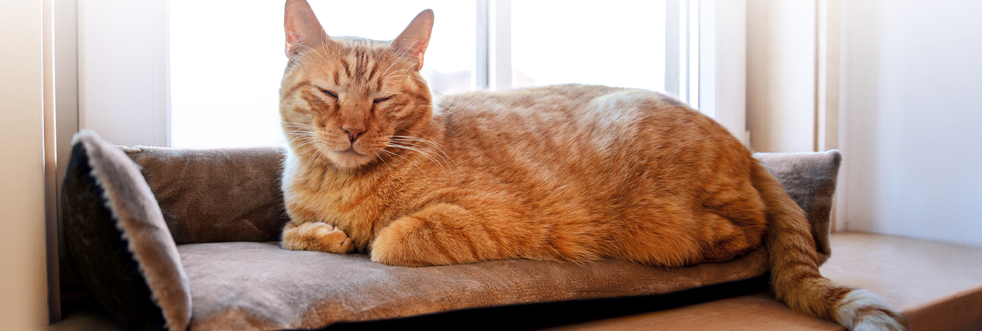 Heimtierbedarf Verkäufe -Heimtierbedarf Verkäufe 2