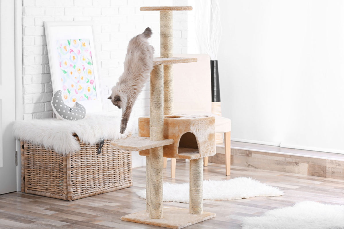 Heimtierbedarf Verkäufe -Heimtierbedarf Verkäufe 3